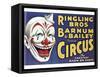 Barnum and Bailey's Circus, USA-null-Framed Stretched Canvas