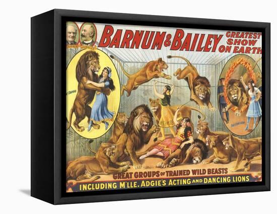 Barnum & Bailey's, 1915, USA-null-Framed Stretched Canvas