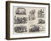 Barnum's Show at Olympia, Sketches Behind the Scenes-null-Framed Giclee Print