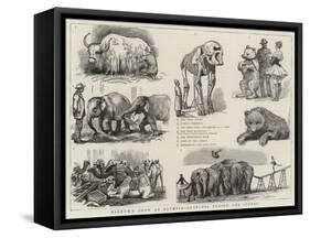 Barnum's Show at Olympia, Sketches Behind the Scenes-null-Framed Stretched Canvas