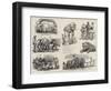 Barnum's Show at Olympia, Sketches Behind the Scenes-null-Framed Premium Giclee Print