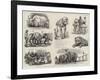 Barnum's Show at Olympia, Sketches Behind the Scenes-null-Framed Giclee Print