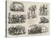 Barnum's Show at Olympia, Sketches Behind the Scenes-null-Stretched Canvas