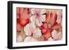 Barnwood Blossoms-Jurgen Gottschlag-Framed Art Print