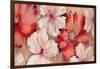 Barnwood Blossoms-Jurgen Gottschlag-Framed Art Print