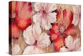 Barnwood Blossoms-Jurgen Gottschlag-Stretched Canvas