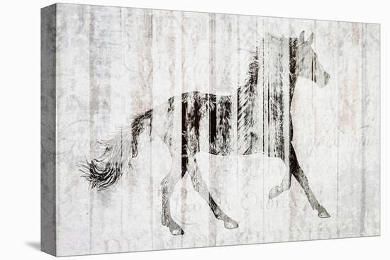 Barnwood Horse 2-Kimberly Allen-Stretched Canvas