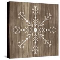 Barnwood Wonderland I-June Vess-Stretched Canvas