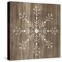 Barnwood Wonderland I-June Vess-Stretched Canvas