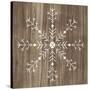 Barnwood Wonderland I-June Vess-Stretched Canvas