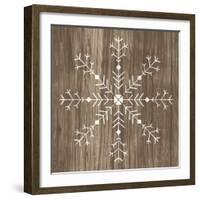 Barnwood Wonderland I-June Vess-Framed Art Print