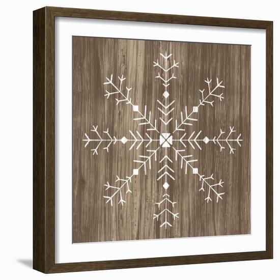 Barnwood Wonderland I-June Vess-Framed Art Print