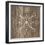 Barnwood Wonderland I-June Vess-Framed Art Print