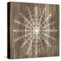 Barnwood Wonderland VI-June Vess-Stretched Canvas