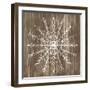 Barnwood Wonderland VI-June Vess-Framed Art Print