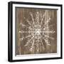 Barnwood Wonderland VI-June Vess-Framed Art Print