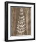 Barnwood Wonderland VIII-June Vess-Framed Art Print