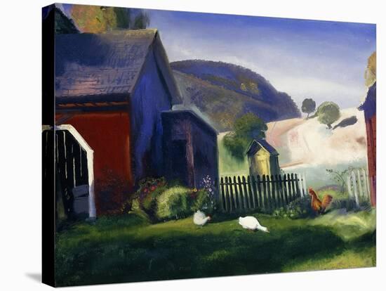 Barnyard and Chickens-George Wesley Bellows-Stretched Canvas