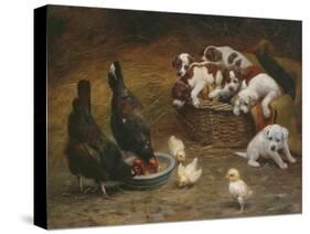 Barnyard Friends-Casper von Reth-Stretched Canvas