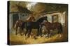 Barnyard Scene-Federico Ballesio-Stretched Canvas