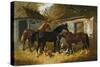 Barnyard Scene-Federico Ballesio-Stretched Canvas