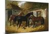 Barnyard Scene-Federico Ballesio-Mounted Giclee Print