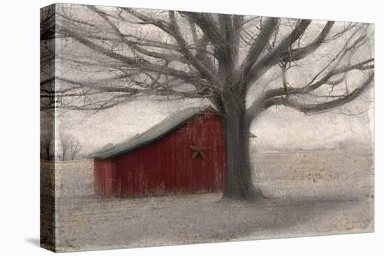 Barnyard Star-Kimberly Allen-Stretched Canvas