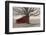 Barnyard Star-Kimberly Allen-Framed Photographic Print