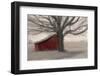 Barnyard Star-Kimberly Allen-Framed Photographic Print