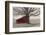 Barnyard Star-Kimberly Allen-Framed Photo