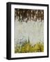 Barnyard-Joshua Schicker-Framed Giclee Print