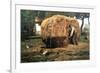 Barnyard-Childe Hassam-Framed Art Print