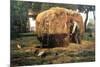 Barnyard-Childe Hassam-Mounted Art Print