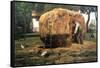 Barnyard-Childe Hassam-Framed Stretched Canvas