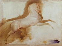 An Arabian Horse-Baron Antoine Jean Gros-Giclee Print