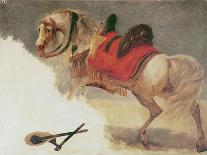 Horse of Mustapha-Pacha-Baron Antoine Jean Gros-Giclee Print