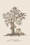The Jac Tree-Baron De Montalemert-Art Print