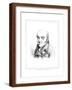 Brown Frame