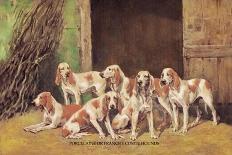 Group of Gascon-Saintongeois Foxhound Crosses-Baron Karl Reille-Art Print