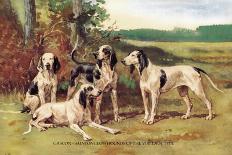 Group of Gascon-Saintongeois Foxhound Crosses-Baron Karl Reille-Art Print