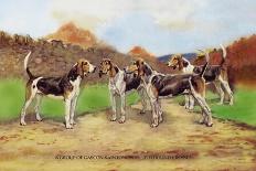 Group of Gascon-Saintongeois Foxhound Crosses-Baron Karl Reille-Art Print