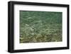 Baron Lake Ripples, Sawtooth Mountains, Idaho.-Alan Majchrowicz-Framed Photographic Print