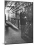 Baron Philippe De Rothschild in a Wine Cellar at Chateau Mouton Rothschild-Carlo Bavagnoli-Mounted Photographic Print