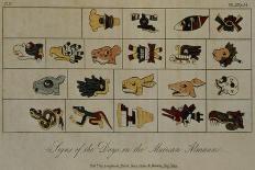 T.1605 Fragments of a Hieroglyphical Manuscript at Dresden, from Vol II of 'Researches Concerning…-Friedrich Alexander, Baron Von Humboldt-Giclee Print