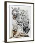 Baron-Barbara Keith-Framed Giclee Print