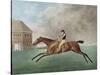 Baronet, 1794 (Etching)-George Stubbs-Stretched Canvas