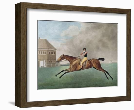 Baronet, 1794 (Etching)-George Stubbs-Framed Giclee Print