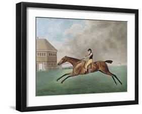 Baronet, 1794 (Etching)-George Stubbs-Framed Giclee Print