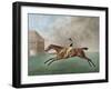 Baronet, 1794 (Etching)-George Stubbs-Framed Giclee Print