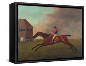 Baronet with Sam Chifney Up, 1791-George Stubbs-Framed Stretched Canvas